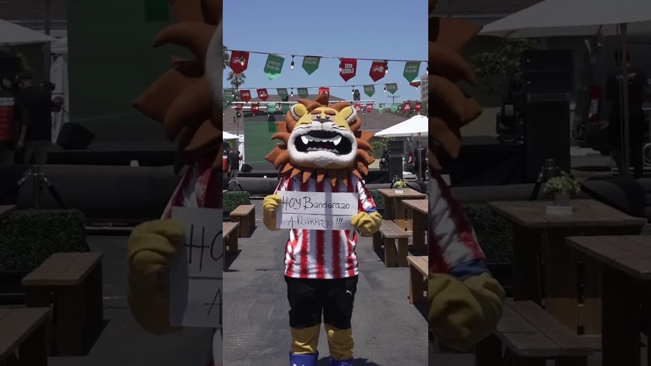 Maxresdefault
