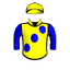 Southern Bullet