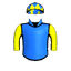 Grey Jude