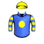 Ultimate Survivor