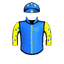 Blue Seeker