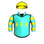 Fire Marshal