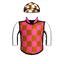 Bovidae