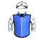 Copartner Pegasus