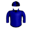 Dioscuri