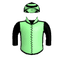 Cavalry Commander