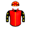 ARDUIS INVICTA