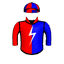 BIONIC SAINT