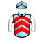 IVYNATOR