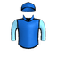 CAVALLO PAZZO