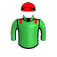 RAYGANI