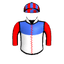 STEEL KNIGHT