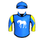 RENDER JUDGMENT