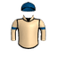 TERRITORIAL KNIGHT