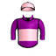 LANESPARK