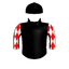 MR BORDERTOWN BUZZ