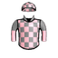 THE GRAY GHOST