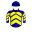 VISIBLE