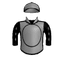 D' ARGONAUT