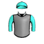 IMMORTAL SHIELD