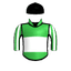 THE FIXER