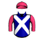 SPLINTERFLY