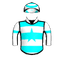 TOY'STROUBLEDHERO