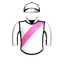 FLASH LADY