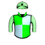 VERDANT TONES