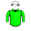 MAXISURE