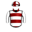 CAPTAIN INSANO