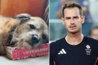 Andy Murray Mourns Loss of Beloved Dog Rusty