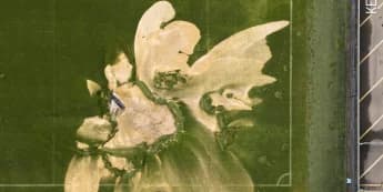 Stadium switch for Wimbledon-Newcastle Carabao Cup clash postponed by flooding