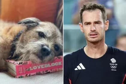 Andy Murray Mourns Loss of Beloved Dog Rusty