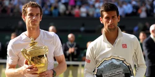 Andy Murray praise pours in but Novak Djokovic thinks he could be back next year