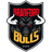 Bradford Bulls RLFC