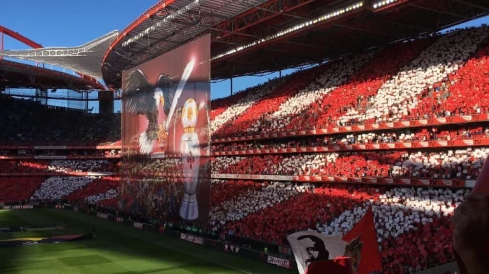 Estadio da Luz: A Pillar of Portuguese Football Estadio da Luz: A Pillar of Portuguese Football