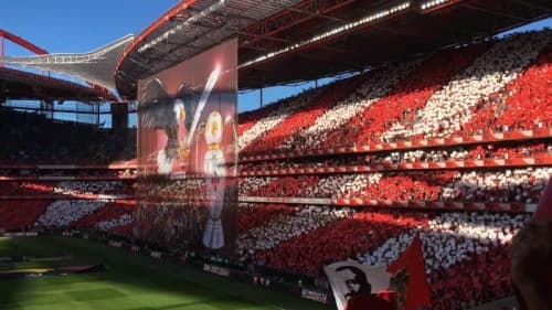 Estadio da Luz: A Pillar of Portuguese Football Estadio da Luz: A Pillar of Portuguese Football