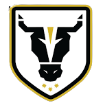 teamLogo